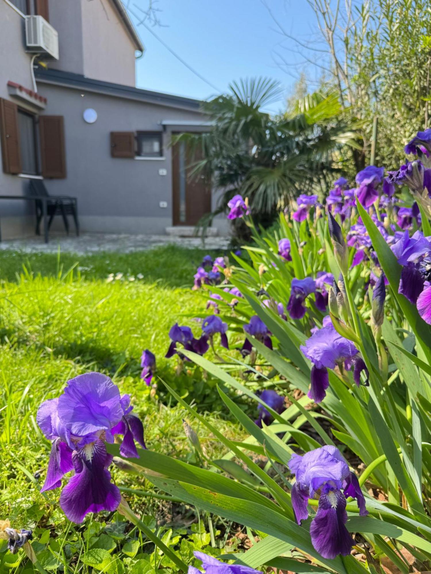 Flowers Apartments Medulin, Fucane 2 Exterior photo